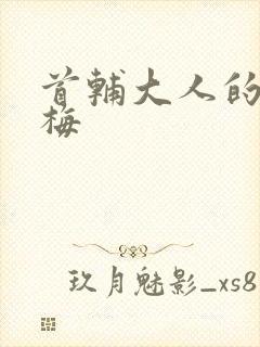 首辅大人的小青梅