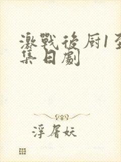 激战后厨1至5集日剧