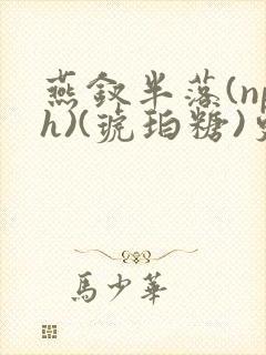 燕钗半落(nph)(琥珀糖)更新