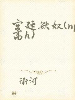 宫廷欲奴(np高h)