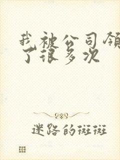 我被公司领导C了很多次