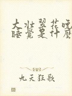 大壮翠花晚上不睡觉是什么电视剧