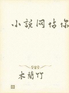 小说网站你懂的