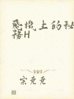 飞机上的秘密服务H