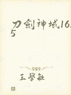 刀剑神域16.5