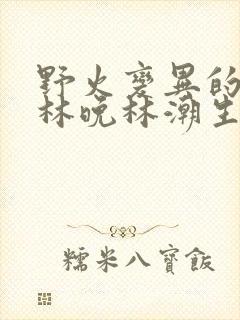 野火变异的父爱林晚林潮生