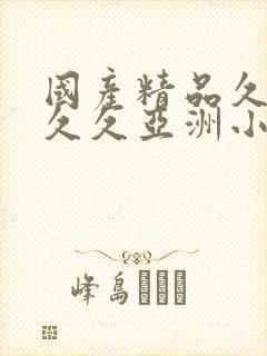 国产精品久久久久久亚洲小说