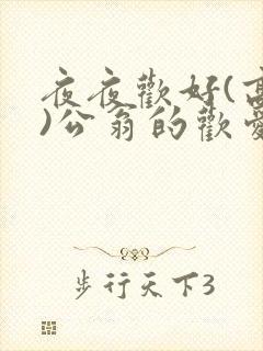 夜夜欢好(高h)公翁的欢爱
