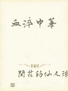 血淬中华