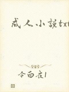 成人小说txt