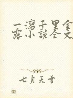 一泻千里金银花露小说全文免费阅读