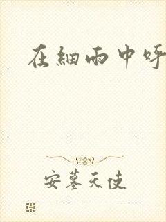 在细雨中呼喊