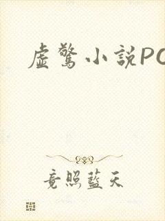 虚惊小说PO