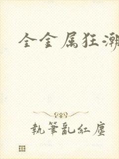 全金属狂潮小说