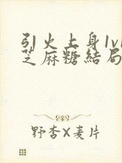 引火上身1v1芝麻糖结局