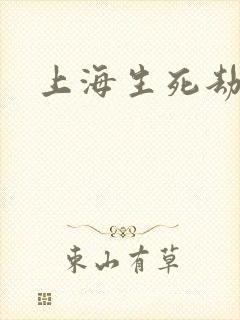 上海生死劫