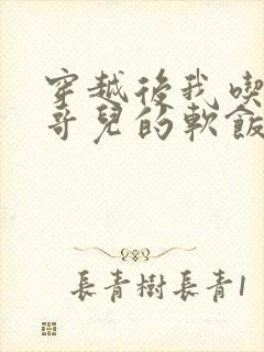 穿越后我吃到了哥儿的软饭炉山灰