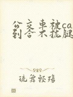 公交车被cao到合不拢腿视频