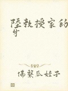 陆教授家的小月牙