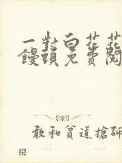 一对白花花的大馒头免费阅读