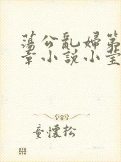 荡公乱妇第51章小说小莹