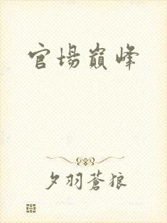 官场巅峰