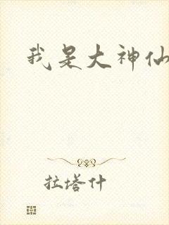 我是大神仙小说