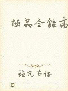 极品全能高手