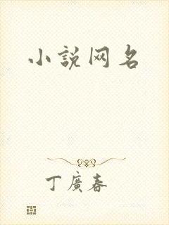 小说网名