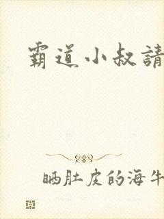 霸道小叔请轻撩