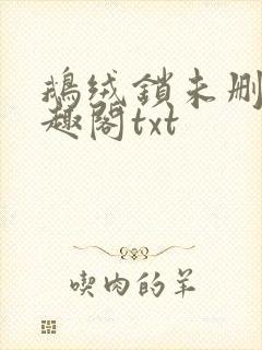 鹅绒锁未删除笔趣阁txt