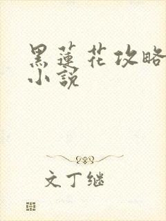 黑莲花攻略手册小说