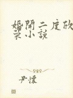 婚开二度欣欣向荣小说