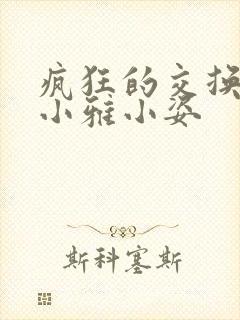 疯狂的交换小静小雅小姿