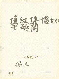 顶级伴侣txt笔趣阁