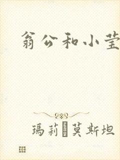 翁公和小莹