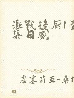 激战后厨1至5集日剧