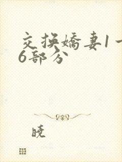 交换娇妻1一36部分