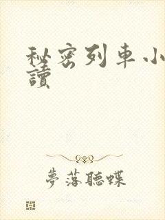 秘密列车小说阅读