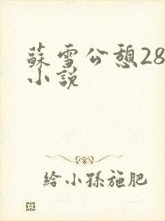 苏雪公憩28篇小说