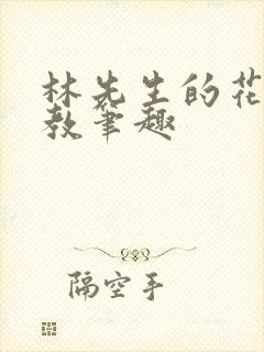 林先生的花式管教笔趣