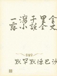 一泻千里金银花露小说全文免费阅读