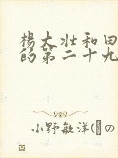 杨大壮和田桂花的第二十九