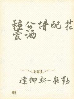 种公借配花间一壶酒