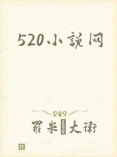 520小说网