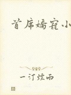 首席娇宠小情人