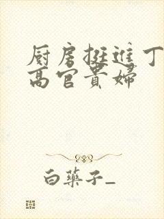 厨房挺进丁字裤高官贵妇