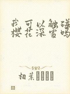 我可以触碰你的樱花深处吗