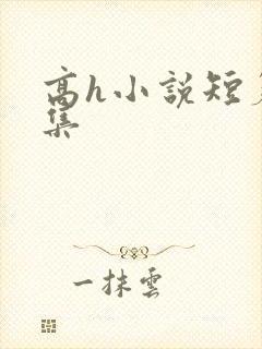 高h小说短篇合集