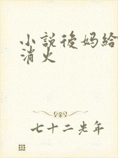 小说后妈给我消消火